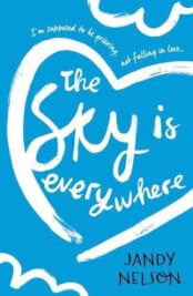 THE SKY IS EVERYWHERE UK